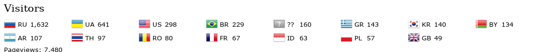 Flag Counter