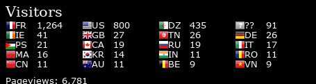 Flag Counter