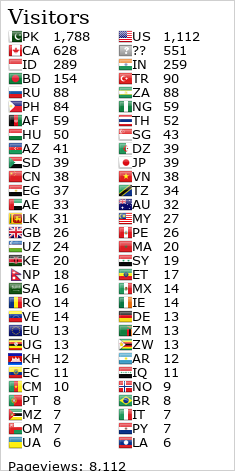 Flag Counter