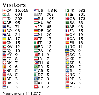Flag Counter