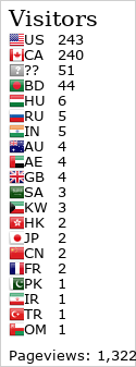 Flag Counter