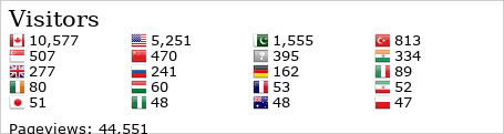 Flag Counter