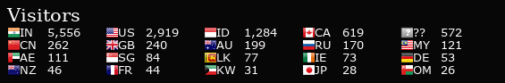 Flag Counter
